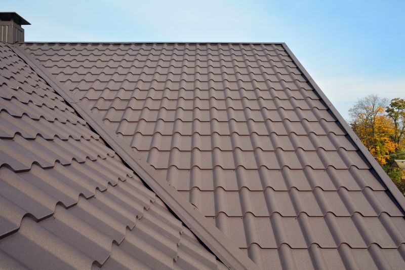 Tin Roof Installation in Alexandria, VA
